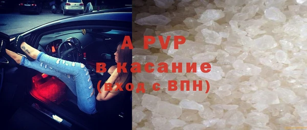 сатива Богданович