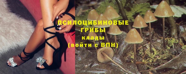 ешки Богородицк