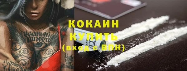 сатива Богданович